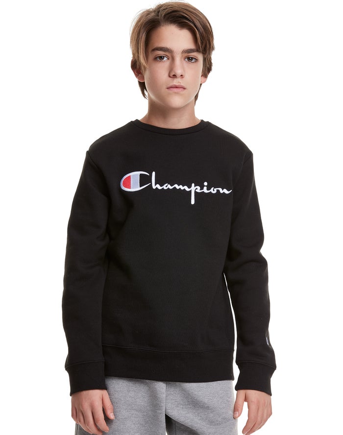 Champion men's stitched sales script fleece crew pullover